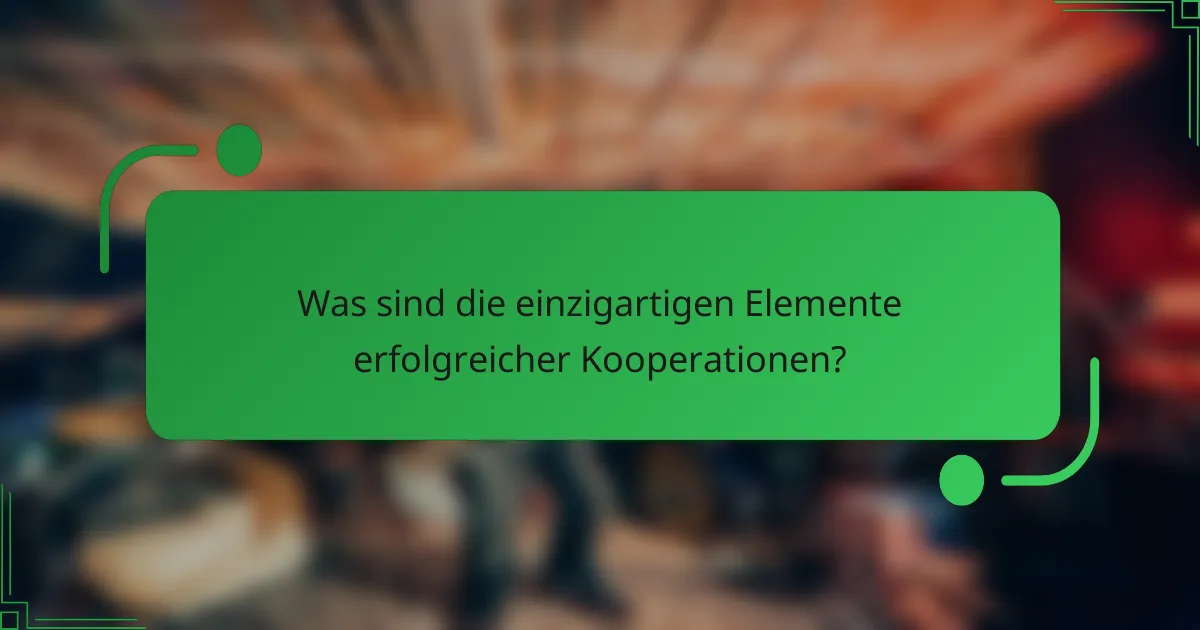 Was sind die einzigartigen Elemente erfolgreicher Kooperationen?