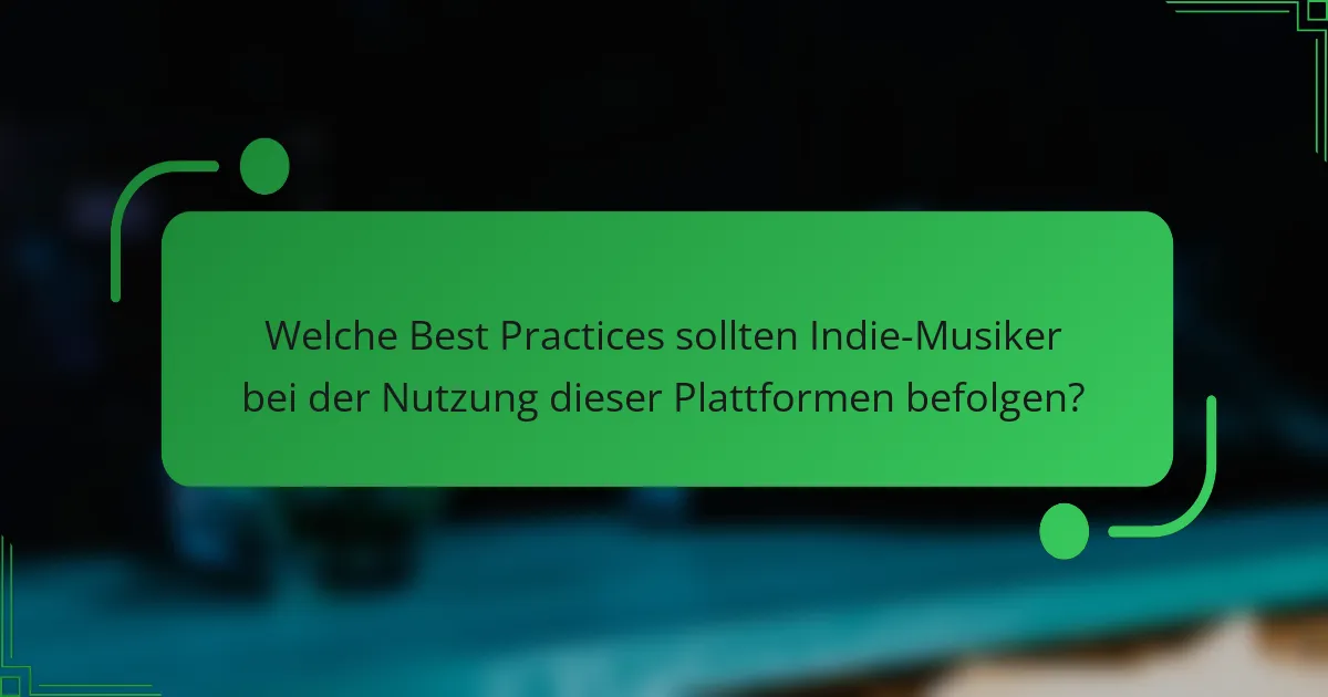 Welche Best Practices sollten Indie-Musiker bei der Nutzung dieser Plattformen befolgen?