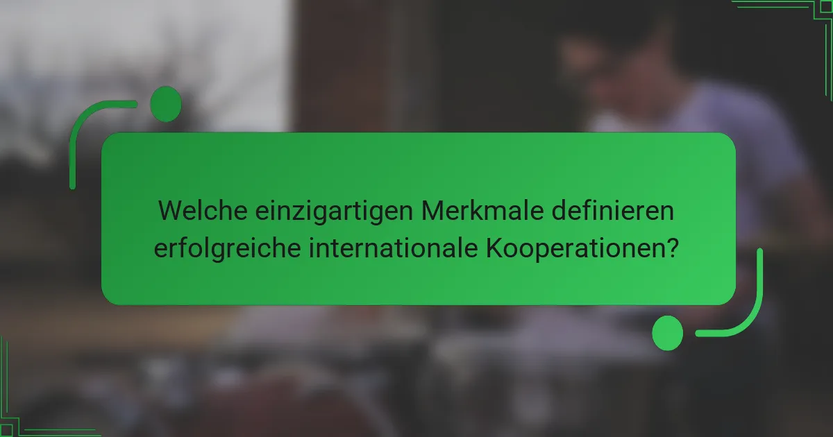 Welche einzigartigen Merkmale definieren erfolgreiche internationale Kooperationen?