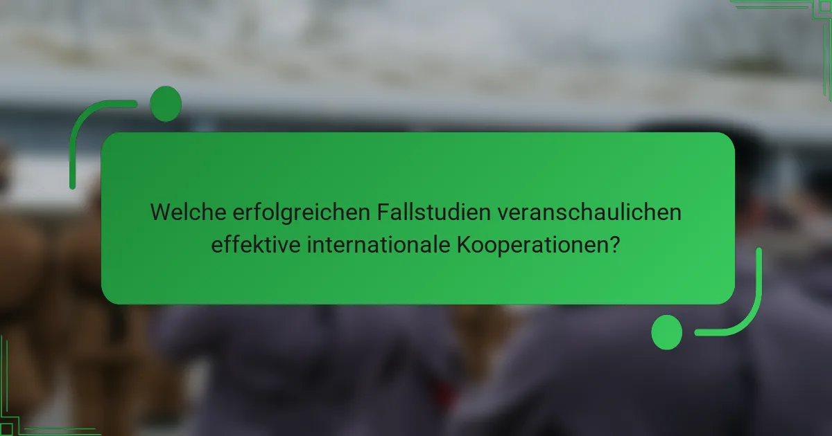 Welche erfolgreichen Fallstudien veranschaulichen effektive internationale Kooperationen?
