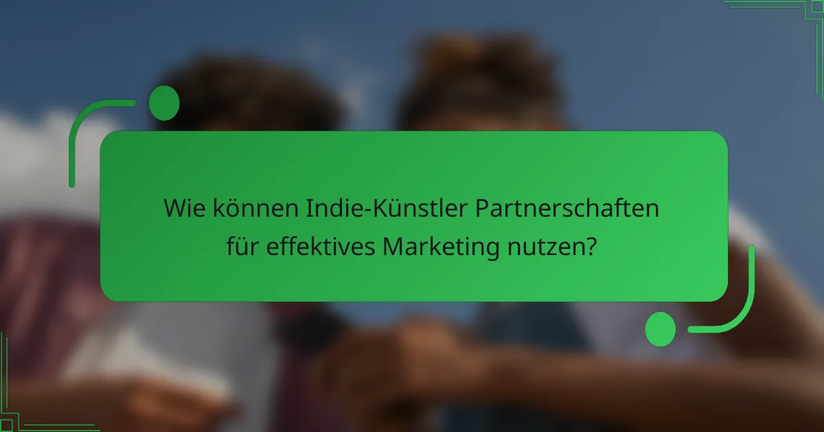 Wie können Indie-Künstler Partnerschaften für effektives Marketing nutzen?